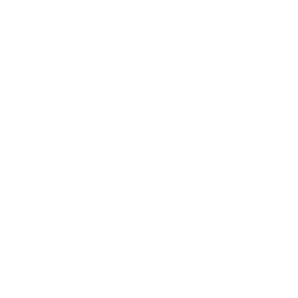 Bureau Veritas