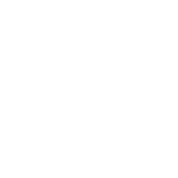USA Department of Transportation